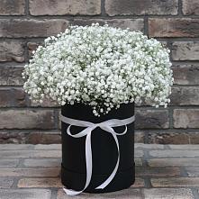 Цветочная композиция из Гипсофила в шляпной коробке #REPLACE_PRED# Савельево